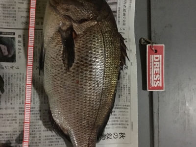 海上釣堀