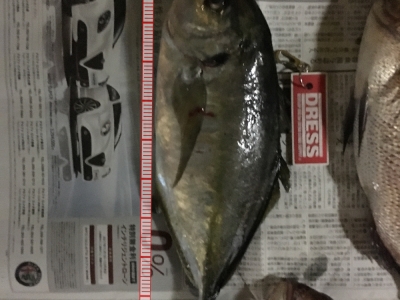 海上釣堀
