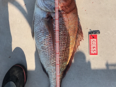 鯛ラバ釣行