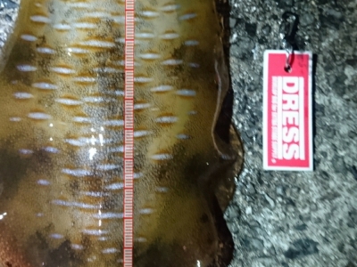 キロアップ