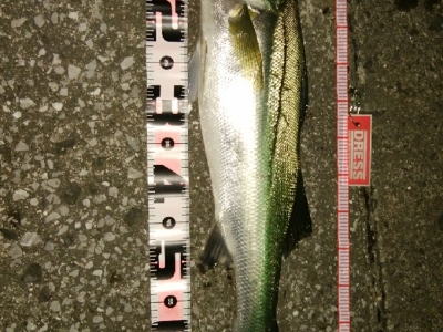 釣行１投目