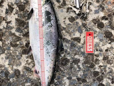 やっと釣れた