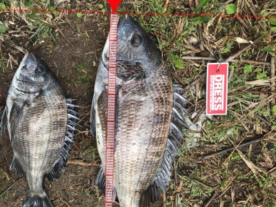 京都府北の湾にて
