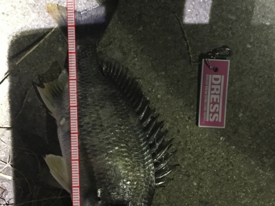 あ