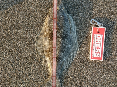 釣りバカ