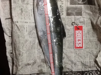 恵山