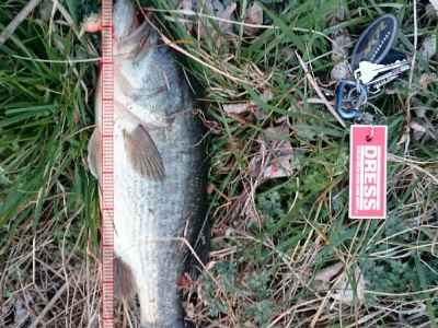 今年初バス(^^)