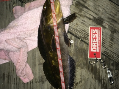 今年初釣行