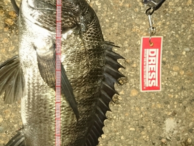 15分だけの釣行で。