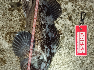 大間にて
