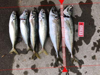 うれしい