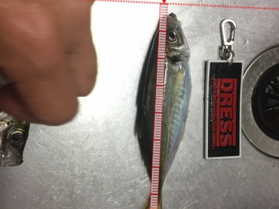 舞洲