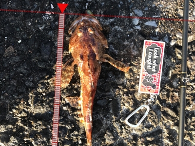 室蘭沖堤防白灯台