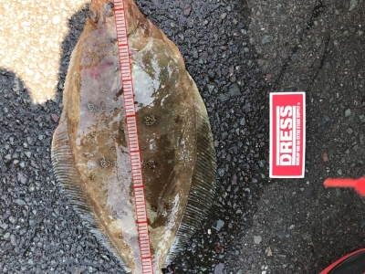 ジグで初カレイ