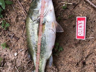 40cm
