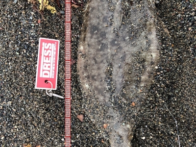 北海道道南サーフにて