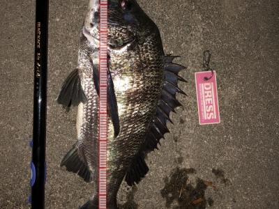 川チヌ　そろそろ年無しの予感