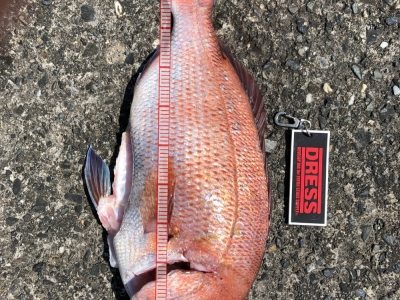 久しぶりの釣行