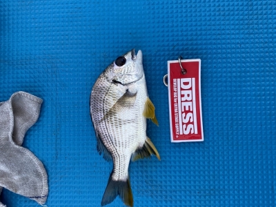 HK