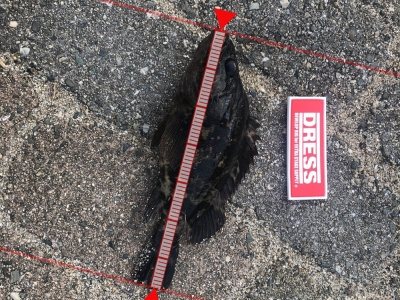 西宮