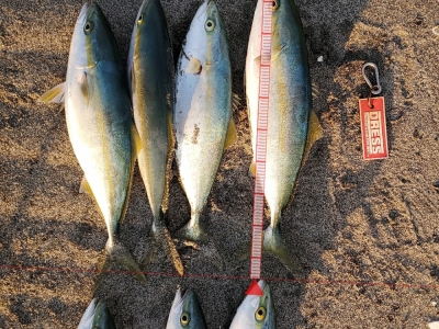 7安打