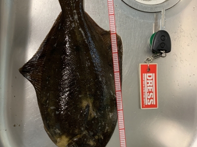 大物