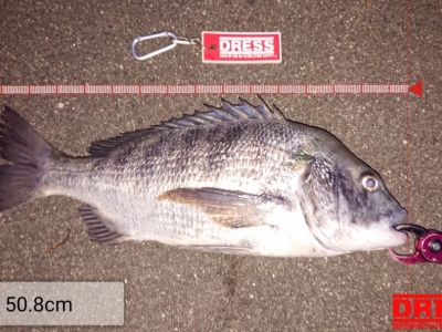 矢作川チニング