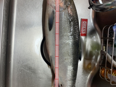 ビギナーズラック