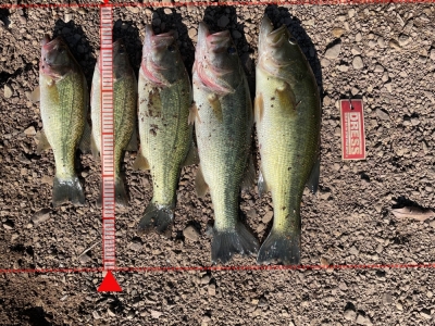 佐賀　河童神社　上