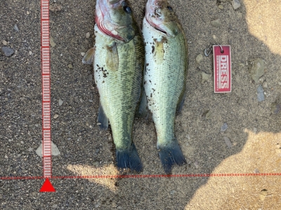 佐賀　海童神社上