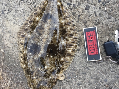 パワーシャッド