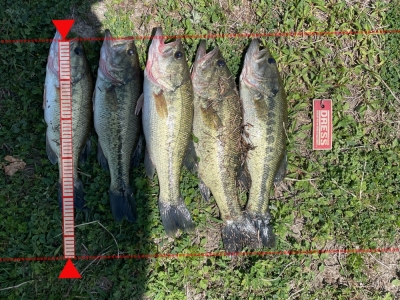 佐賀　海童神社