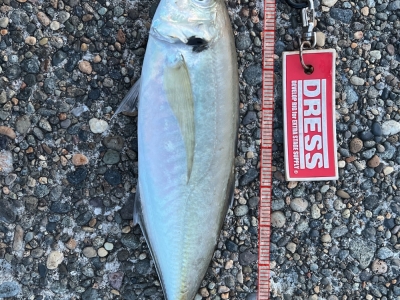 やった30越え！