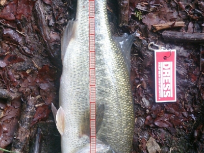 愛知県野池