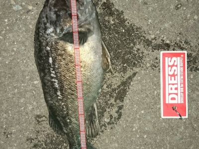 お腹でっぷり