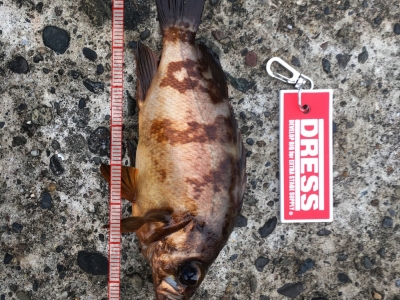 穴釣り