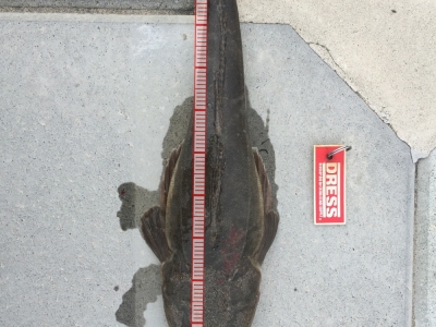荒浜最高