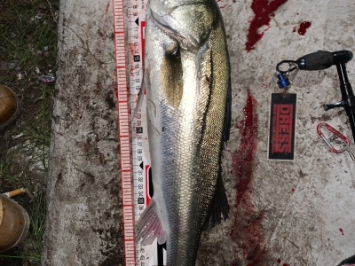 川崎