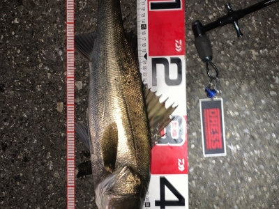 浦安