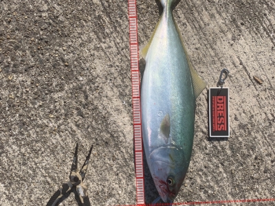 大阪湾某所