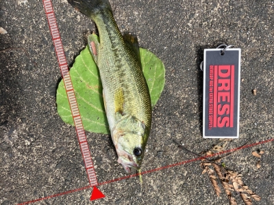 川久保高速下　TN60②