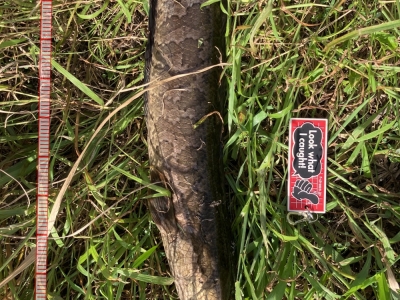 横武クリーク公園南　TN60