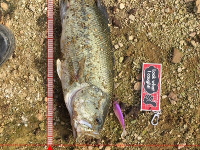 佐賀　浦田溜池①