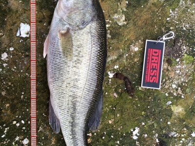 佐賀　浦田溜池②