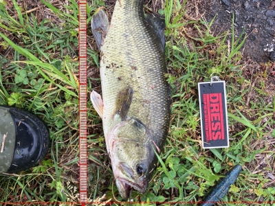 佐賀千代田ドライブシャッド（雨）