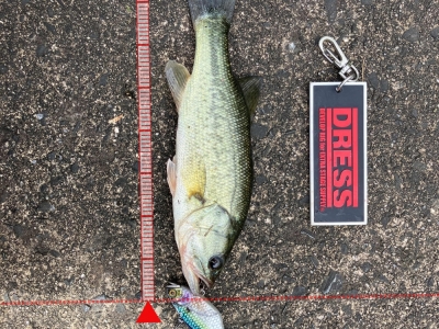 川久保高速下　TN60①