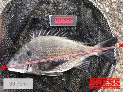 40センチ届かず！３枚‼︎