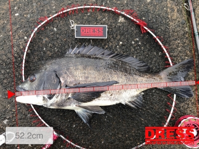 今日1番！＋９枚‼︎