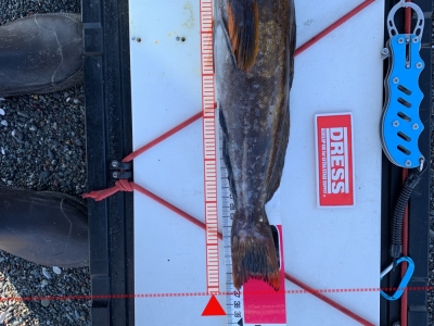 苫小牧港