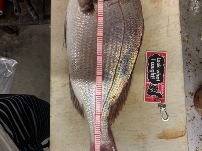 初レンタルボート